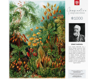 GOOD LOOT Imagination: Ernst Haeckel Muscinae Puzzles 1000 - 1056324 - zdjęcie 5
